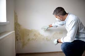  Lakemoor, IL Mold Prevention & Removal Pros